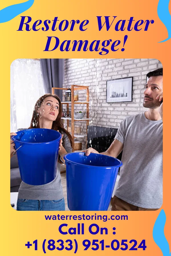water restoration Eco Water Damage & Sons Bryan