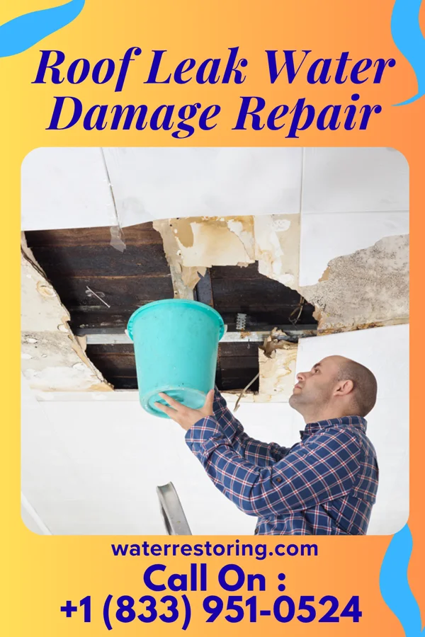 Roof Leak Water Damage Repair in Bryan, OH