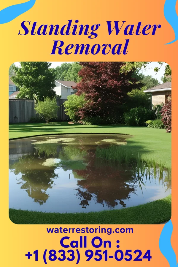 Standing Water Removal in Bryan, OH